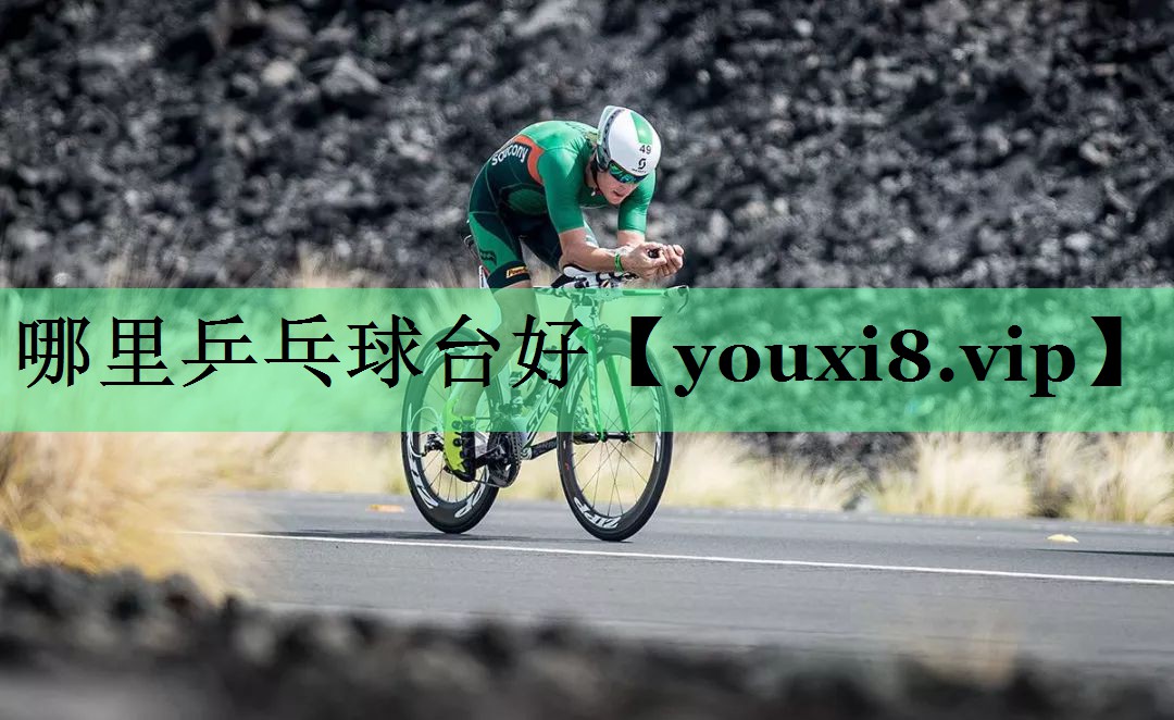 哪里乒乓球台好